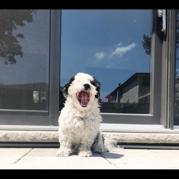 Meet your Posher, JP - Picture 1 of 8